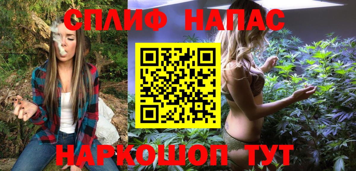 Бошки марихуана тримм  Вход с VPN  Канабис VHQ  МАРИХУАНА семена  Новосибирск 